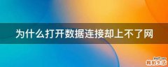 为什么打开数据连接却上不了网