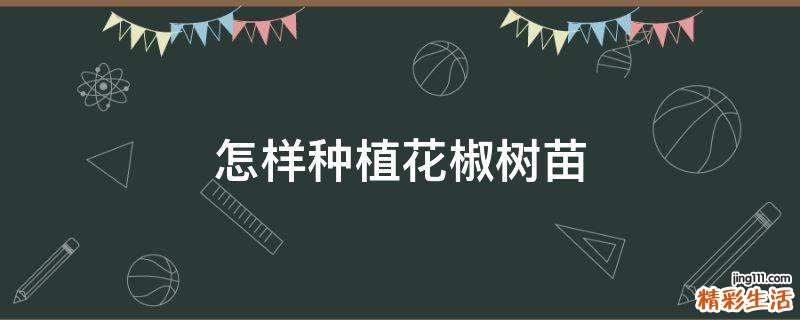 怎样种植花椒树苗