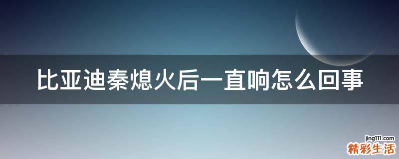 比亚迪秦熄火后一直响怎么回事