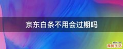 京东白条不用会过期吗