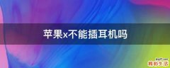 苹果x不能插耳机吗