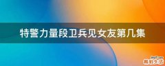 特警力量段卫兵见女友第几集