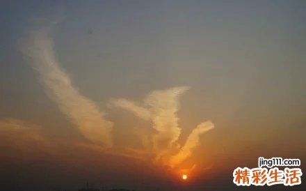 子宫颈白斑之病理改变