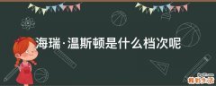 海瑞·温斯顿是什么档次呢