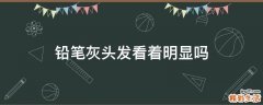 铅笔灰头发看着明显吗