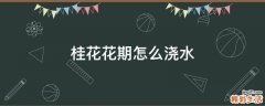 桂花花期怎么浇水