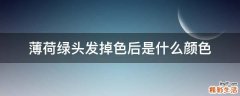 薄荷绿头发掉色后是什么颜色