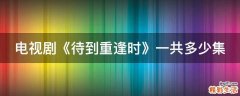 电视剧《待到重逢时》一共多少集