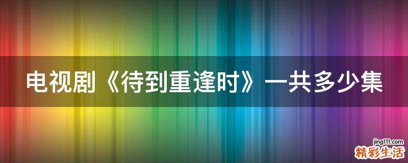 电视剧《待到重逢时》一共多少集