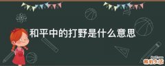 和平中的打野是什么意思