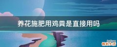 养花施肥用鸡粪是直接用吗