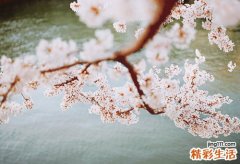 4 六种平价食材养生益寿