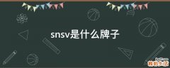 snsv是什么牌子