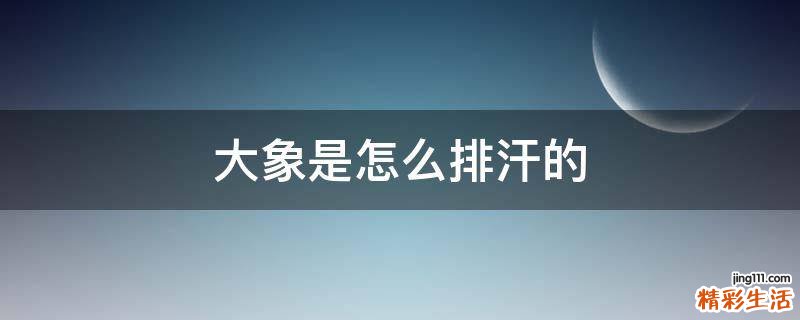 大象是怎么排汗的