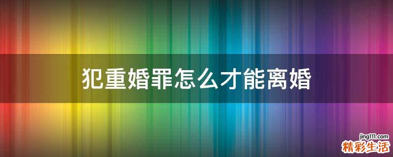 犯重婚罪怎么才能离婚