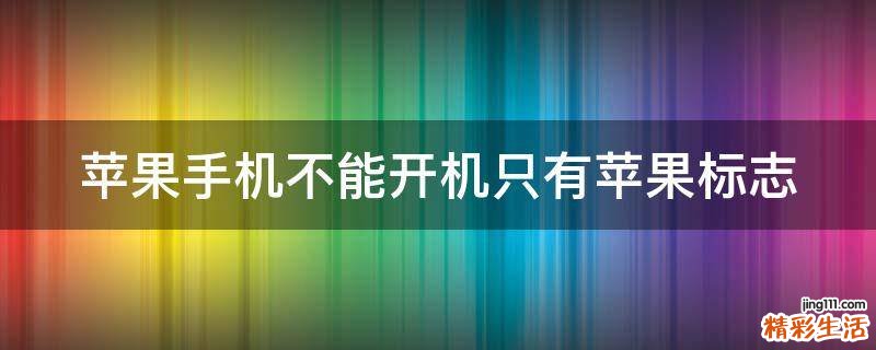苹果手机不能开机只有苹果标志