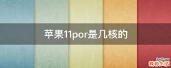 苹果11por是几核的