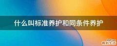 什么叫标准养护和同条件养护