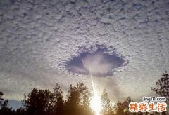 5 鹅肠草