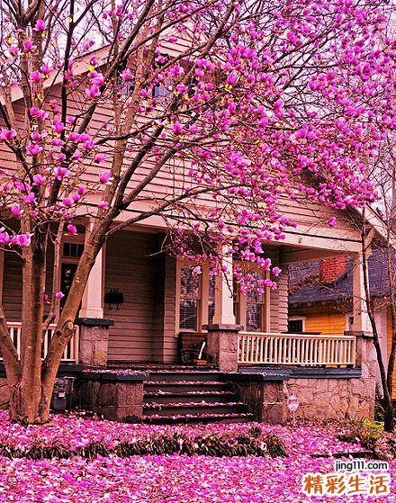 慢性肾炎怎么引起的