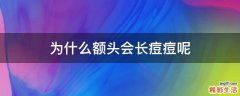 为什么额头会长痘痘呢
