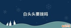 白头头要拔吗