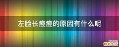 左脸长痘痘的原因有什么呢