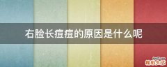 右脸长痘痘的原因是什么呢