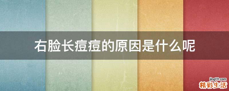 右脸长痘痘的原因是什么呢