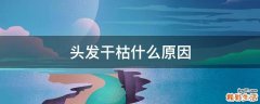 头发干枯什么原因