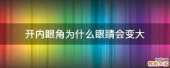 开内眼角为什么眼睛会变大
