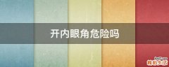 开内眼角危险吗