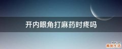 开内眼角打麻药时疼吗