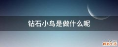 钻石小鸟是做什么呢