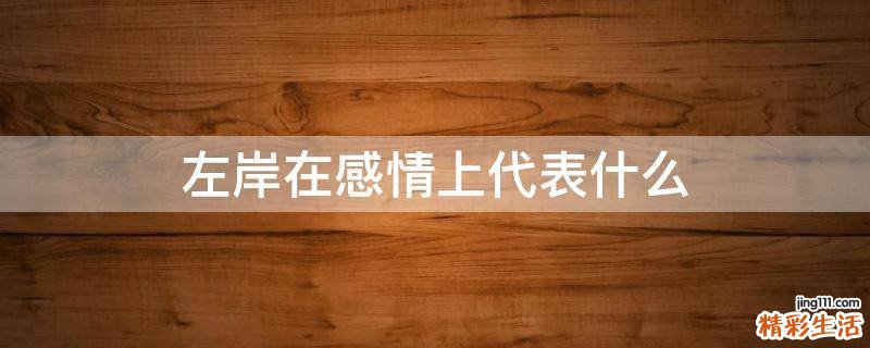 左岸在感情上代表什么