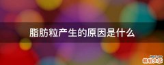 脂肪粒产生的原因是什么