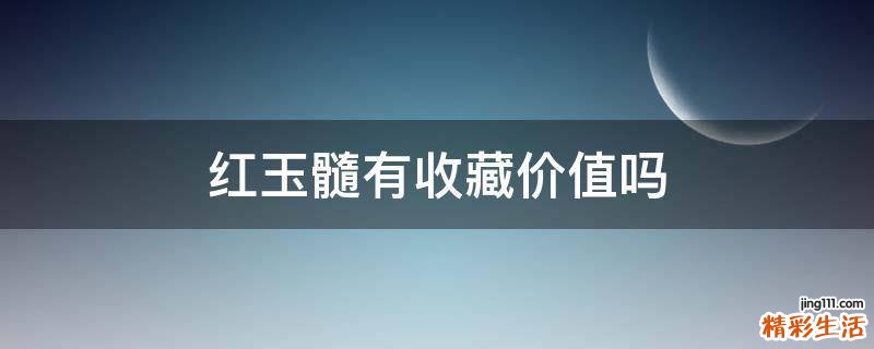 红玉髓有收藏价值吗