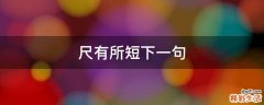 尺有所短下一句