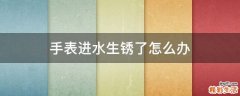 手表进水生锈了怎么办