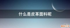 什么是皮革面料呢