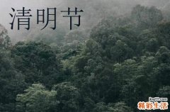 清明节的朋友圈怎么发简短 清明节的朋友圈适合发什么