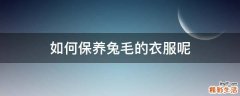 如何保养兔毛的衣服呢