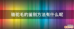 骆驼毛的鉴别方法有什么呢