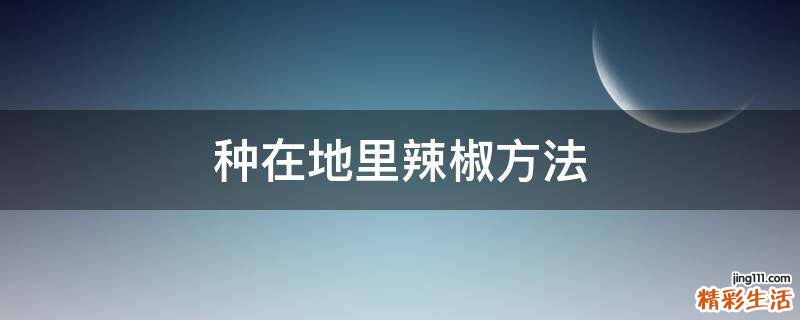 种在地里辣椒方法