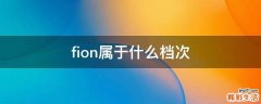 fion属于什么档次