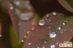 谷雨时节文案干净治愈简短