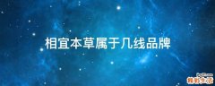 相宜本草属于几线品牌