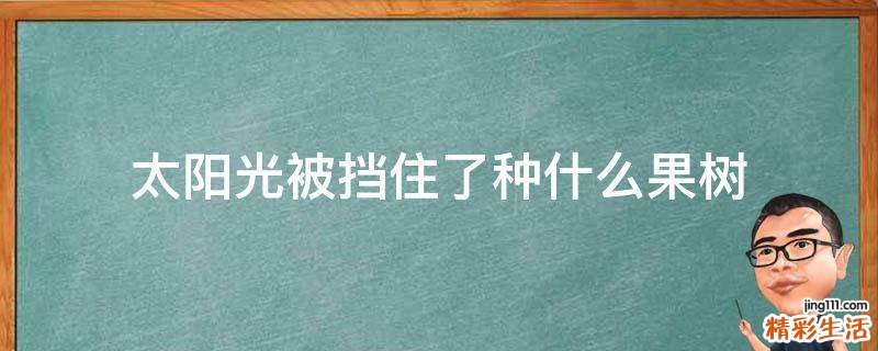 太阳光被挡住了种什么果树