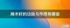 辣木籽的功效与作用有哪些