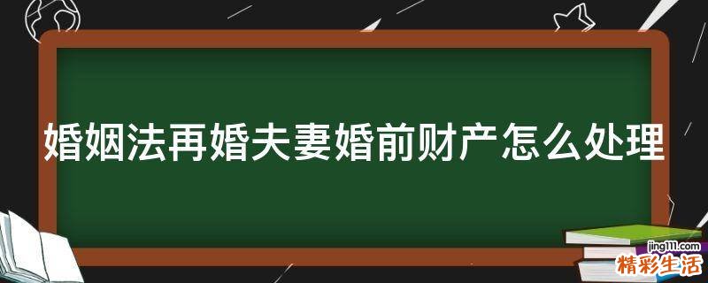 婚姻法再婚夫妻婚前财产怎么处理